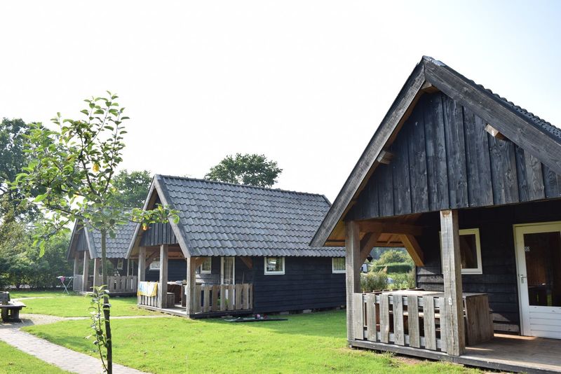 Bungalow.Net Houtlodge | 18 persons - Nederland - Voorthuizen