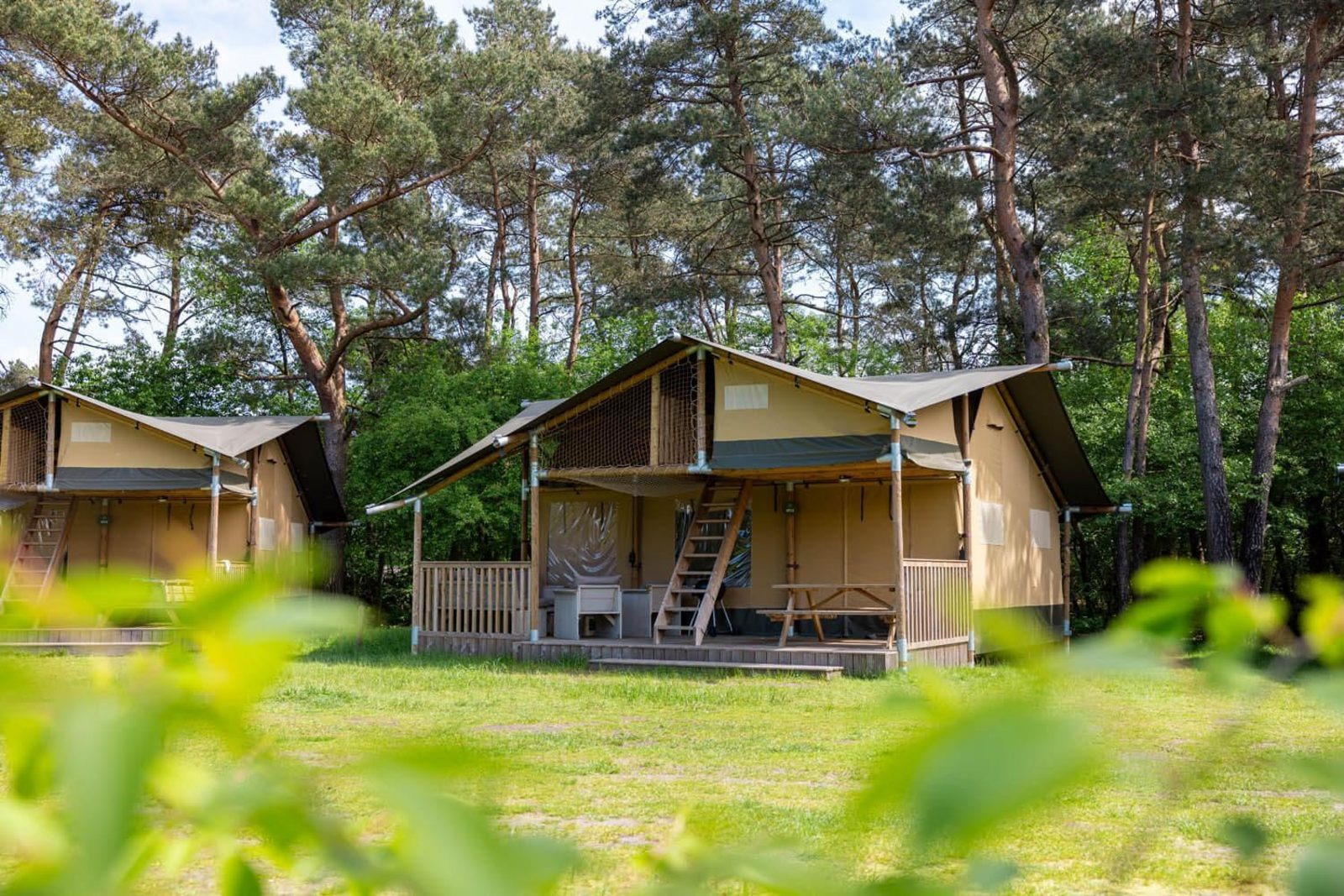 EenVakantieHuisje.nl Safaritent met sanitair - 7 Personen (DE) - Wilsum Deutschland