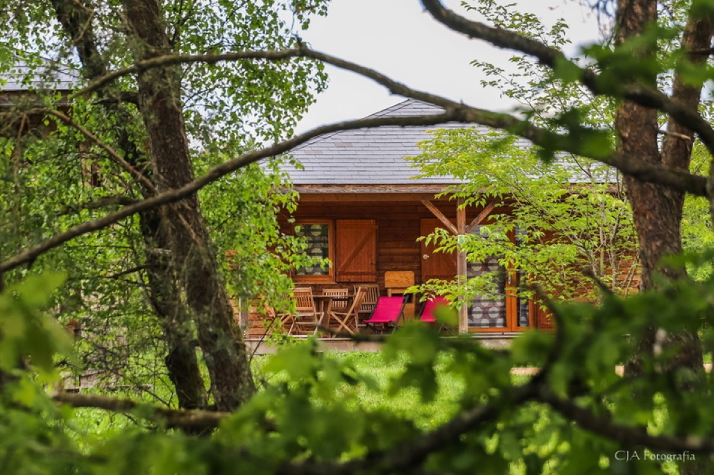 Bungalow.Net Le Dom des Monédières Ch 3P6V - Frankrijk - Meyrignac l'Église