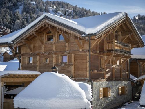 Chalet.nl Chalet du Cocoon Pierra Menta 2 met sauna en gedeelde buiten-whirlpool - 15 personen - Frankrijk - Paradiski - La Plagne - Plagne 1800