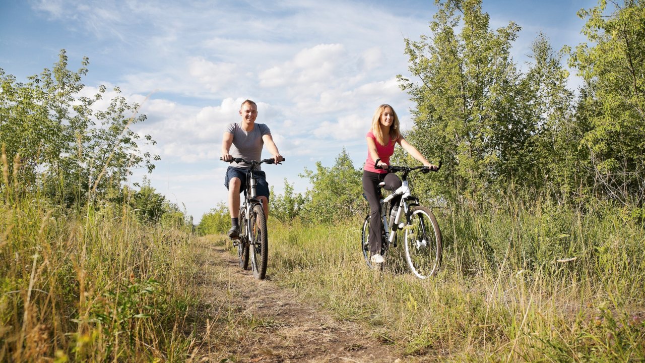 Traveldeal.nl Fietsvakantie: Giethoorn en 3 Nationale Parken - Nederland - Overijssel - Bult