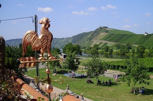 Fital.nl Fietsvakantie langs de Moezel - Duitsland