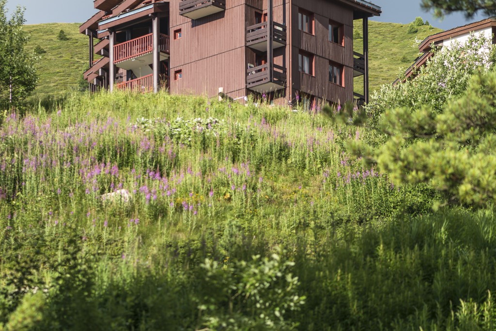 Bungalow.Net Les Gemeaux 2p 6p coinnuit - Frankrijk - Belle Plagne