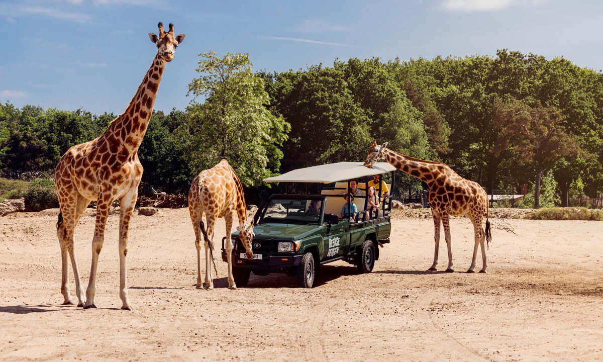 Vacanceselect Camping Lake Resort Beekse Bergen