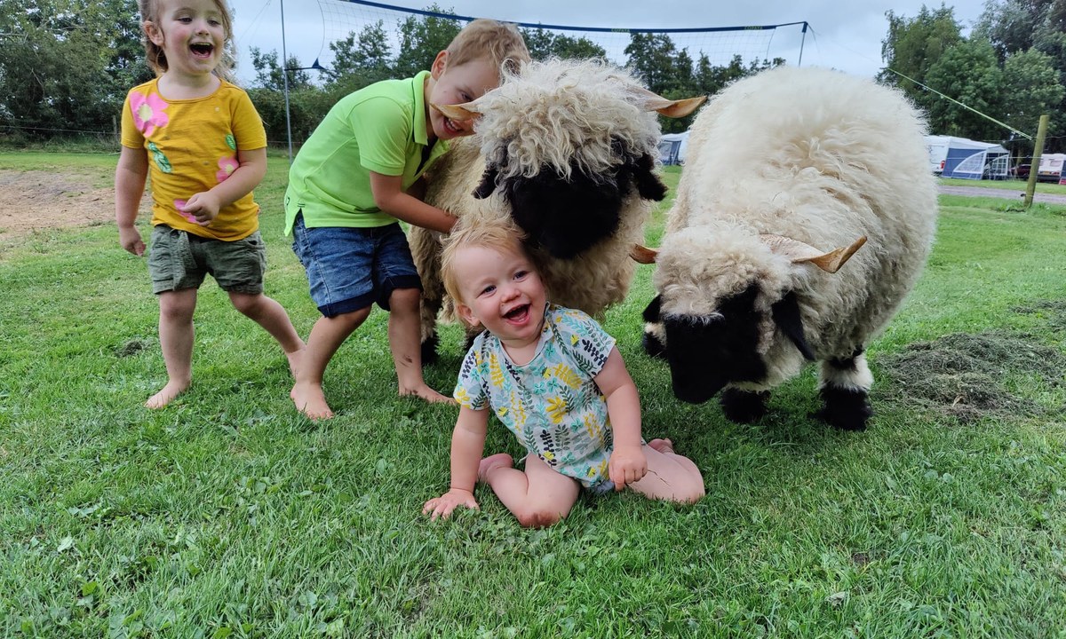 Vacanceselect Camping De Toffe Peer