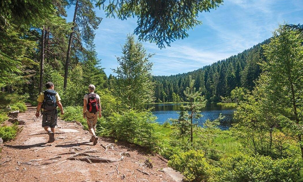 Vacanceselect Camping Kinzigtal