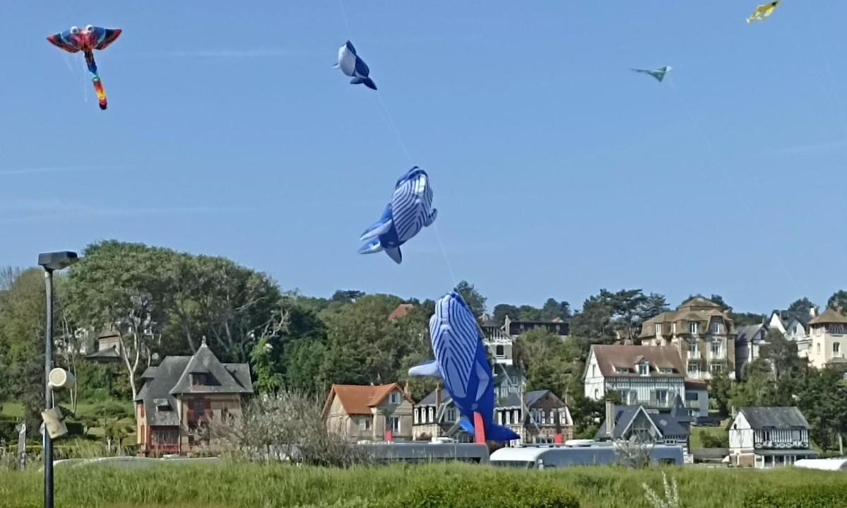 Vacanceselect Camping Seasonova Domaine Saâne et Mer