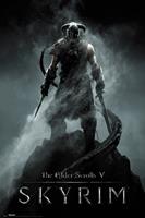 Poster Skyrim Dragonborn 61x91,5cm