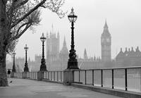 London Fog Fotobehang 366x254cm