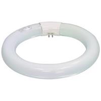 SUPER Reservelamp voor Loeplamp "MAGLAMP2"