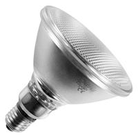Philips Spotlamp PAR38 flood 120W grote fitting E27