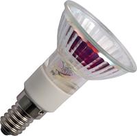 sylvania Halogeen hi-spot 50 230V 40W kleine fitting E14 25°