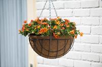 Nature Hanging Basket H13xØ25cm