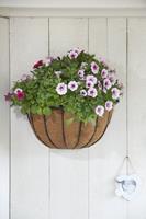 Nature Hanging Basket Smeedijzer zwart H19x½Ø40cm