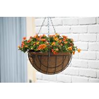 Nature Hanging Basket H17xØ35cm