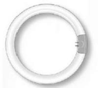 Philips Ronde G10q-tl-lamp Master Circular TL-E, 22W, 840