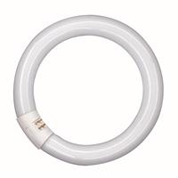 osram L 22W/840 C - Fluorescent lamp ring shape 22W 29mm L 22W/840 C