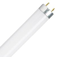 osram Leuchtstoffröhre EEK: A (A++ - E) G13 16W Röhrenform (Ø x L) 26mm x 720mm