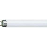 OSRAM L 18/865 - Fluorescent lamp 18W 26mm 6500K L 18/865