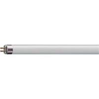 OSRAM HO 24W/865 - Fluorescent lamp 24W 16mm 6500K HO 24W/865