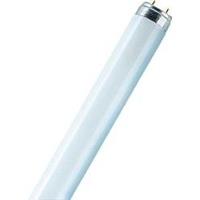 OSRAM TL-lamp Energielabel: G (A - G) G13 58 W Koudwit Buis (Ø x l) 25.5 mm x 1514.2 mm 1 stuk(s)