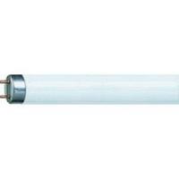 PHILIPS TL-D 18W/827 - Fluorescent lamp 18W 28mm 2700K TL-D 18W/827