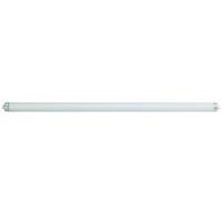 OSRAM L 36W 830 Lumilux 120cm - Warm Wit