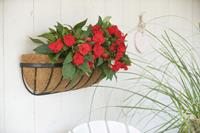 Nature Hanging Basket Smeedijzer zwart H16.5x61x16cm