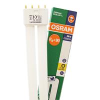 osram Compacte 2G11-tl-lamp Dulux L DeLuxe van 36W, 930