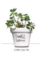 I Will Survive Plantpot
