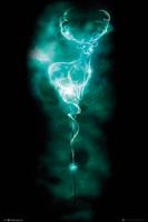 Harry Potter Patronus Stag Poster 61x91,5cm