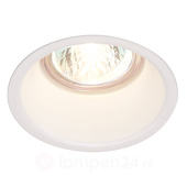 HORN 1 - Downlight 112911