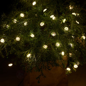 LED lichtketting Silke 40 LED`s, binnen en buiten