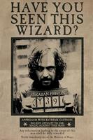 Harry Potter - Wanted Sirius Black Maxi - Poster