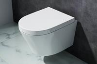 Afesta toiletpot met soft-close zitting wit