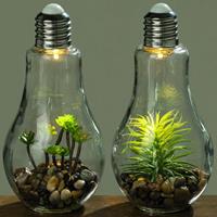 Boltze Led Gloeilamp met plant