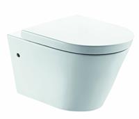 Aqua Splash Wandcloset Flow Rim-Free 55 cm Inclusief Soft-Close Zitting 