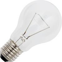 Standaardlamp 12V 25W grote fitting E27