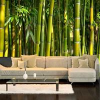 Fotobehang - Oriental Garden, bamboe