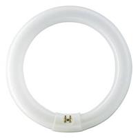 Philips G10q 22W 865 Leuchtstoffring Master Circular TL-E