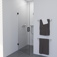 saniclear Modern profielloze douchedeur 80x200 met zwarte scharnieren