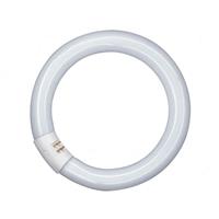 L 22W/865 C - Fluorescent lamp ring shape 22W 29mm L 22W/865 C