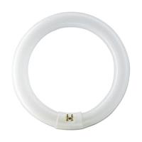 L 22W/827 C - Fluorescent lamp ring shape 22W 29mm L 22W/827 C