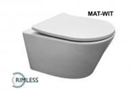 Sanifun Hang toilet