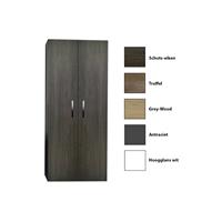 sanicare Kolomkast  Q1/Q4/Q12 2-Deurs Soft-Closing Chromen Greep 160x67x32 cm Grey-Wood 