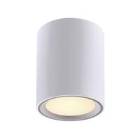 Nordlux,LED Deckenspot Fallon