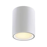 Nordlux,LED Deckenspot Fallon