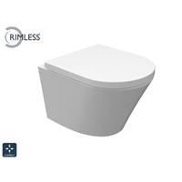 Sanifun Hang toilet