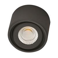 Fabas Luce Kantelbare kop - LED downlight Anzio, antraciet