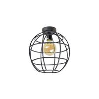 Globe Large Ø28x30 Plafondlamp